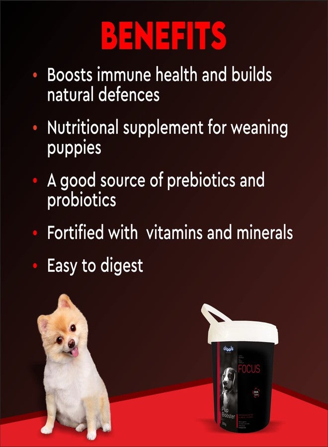 Drools Focus Pup Booster - Puppy Weaning Diet 300g | Chicken Flavour | All Breeds | DHA Aids in The Development of The Brain and Vision | Increases Immunity | Development of Strong and Healthy Bones - Image 3